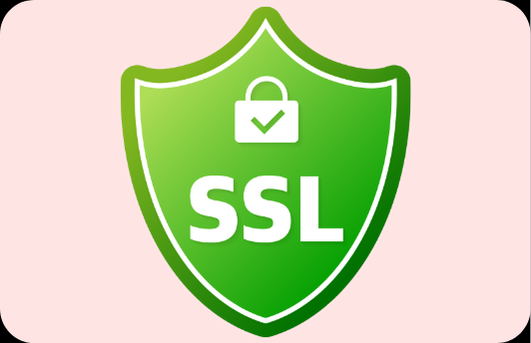 Pago Seguro SSL